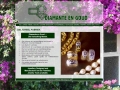 Diamante en Goud